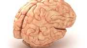 chpl news XIV Dni Neurologii Praktycznej Neuro Update 2016