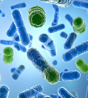 Czy bakterie jelitowe mogą leczyć zespół jelita drażliwego?