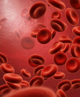 Czy miesiączka nasila b&oacute;l sierpowaty? Nowe dane zmieniają podejście do SCD