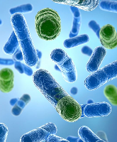 Czy bakterie jelitowe mogą leczyć zespół jelita drażliwego?