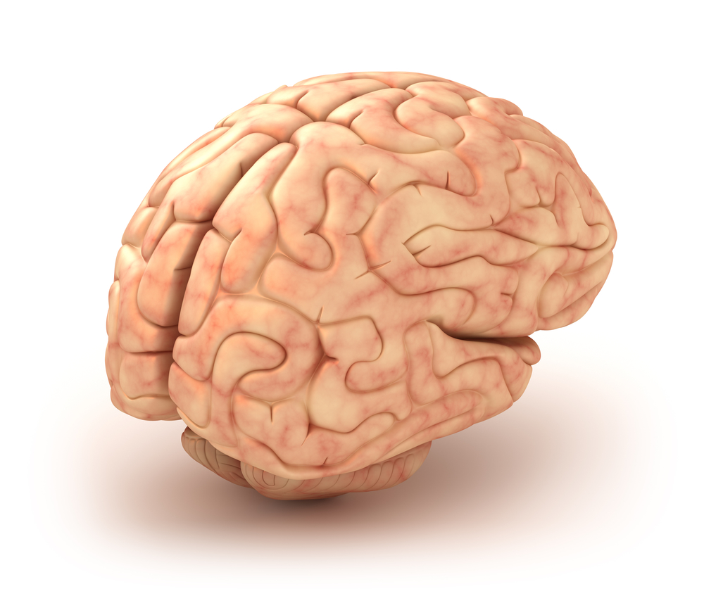 XIV Dni Neurologii Praktycznej Neuro Update 2016