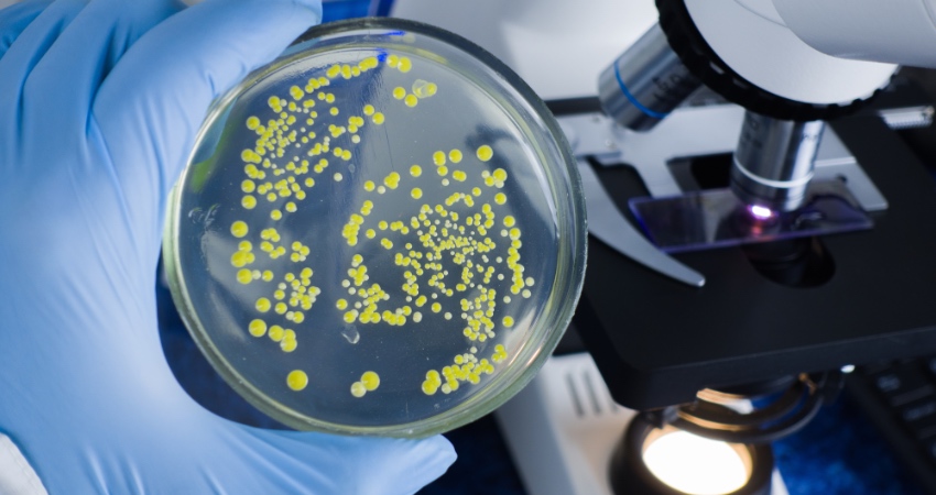 Proces uodparniania się drobnoustrojów na antybiotyki przyspiesza