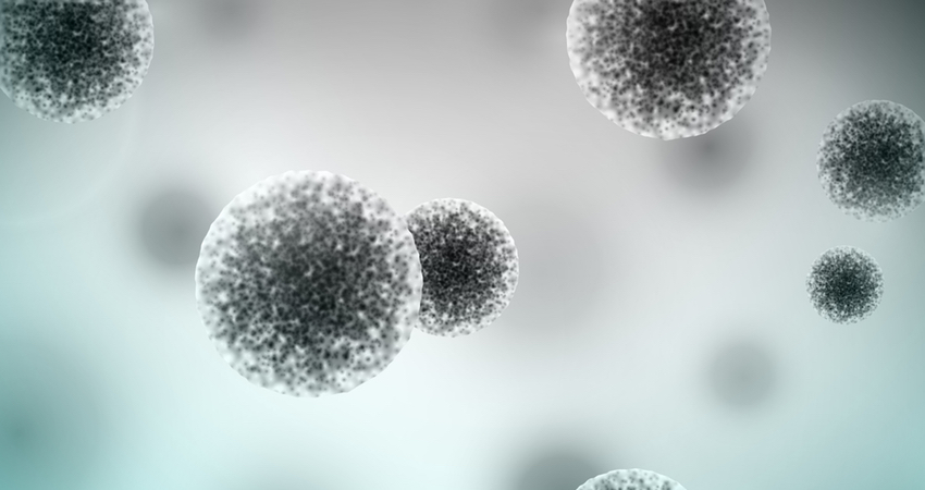 Ludzki mikrobiom wpływa na odpowiedź szczepionki przeciwko rotawirusom