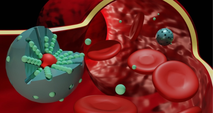 Nanocząstki umożliwiające dostarczanie leków do mózgu