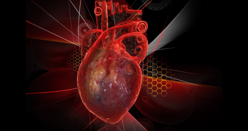 Nowy panel diagnostyczny zapewnia pełniejszą reprezentację funkcjonowania serca